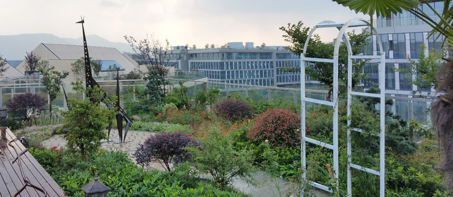 南京萬通城市建設設計院弱電系統(tǒng)項目案例。